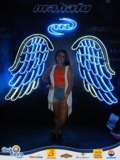 Festa do Boi Malandro